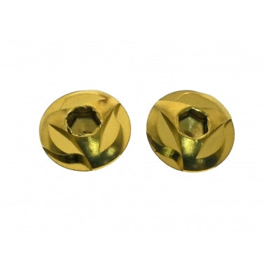 Cow Cow Stainless Steel Grip Screw for Hicapa - Gold